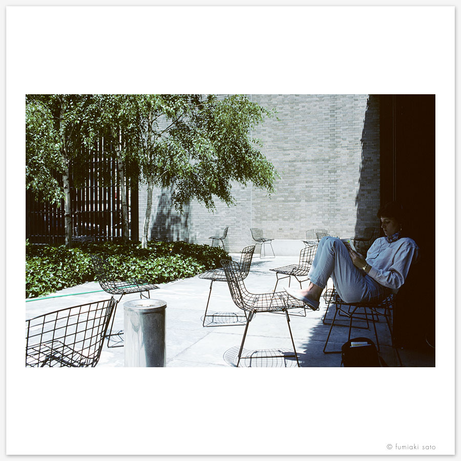 the museum of modern art