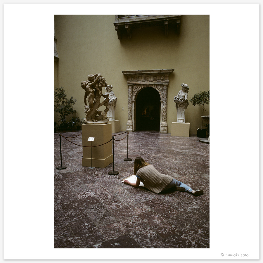 the metropolitan museum of art