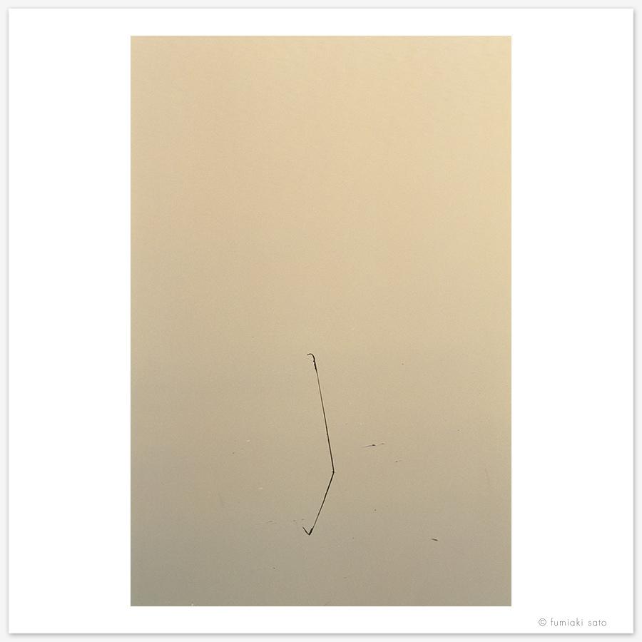 湖面のオブジェ