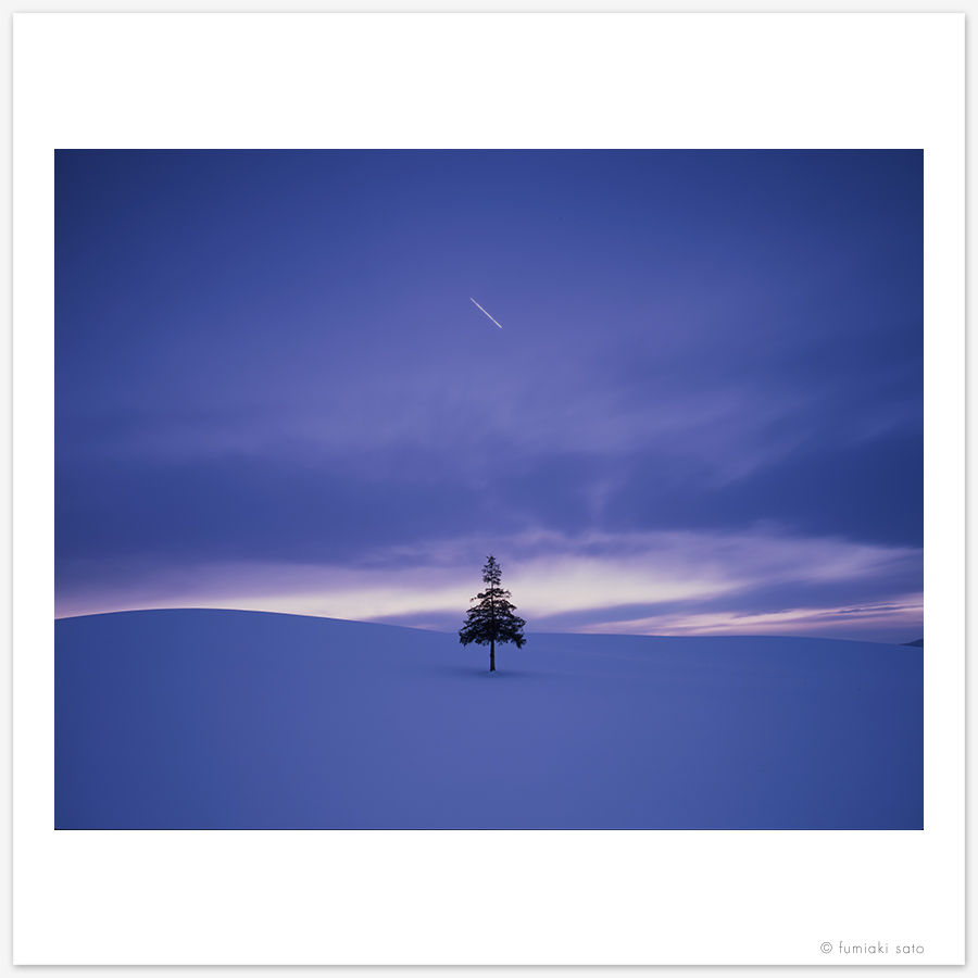 美瑛町のクリスマスの木と一番星