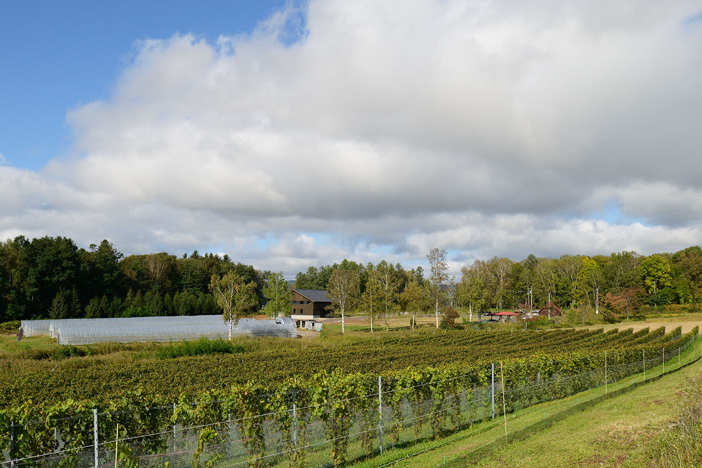 ドメーヌトワ　外観