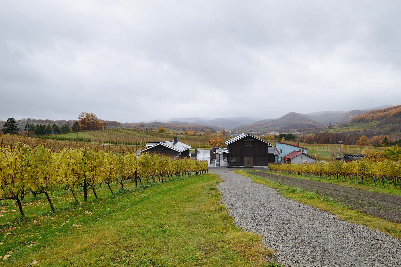 平川ワイナリー第2醸造所　外観
